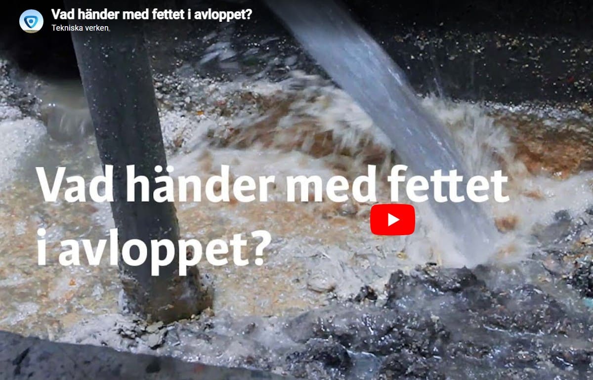 fett i avlopp