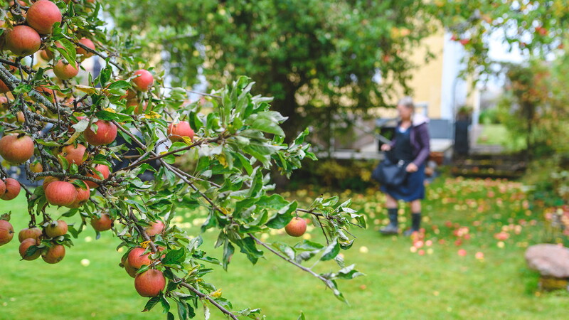 trädgårdsavfall